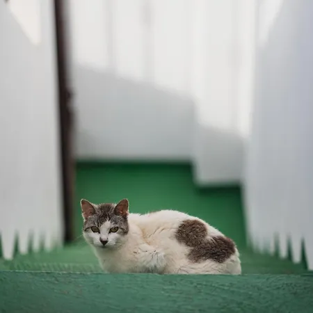 La Cabala Del Draguillo Holiday home *