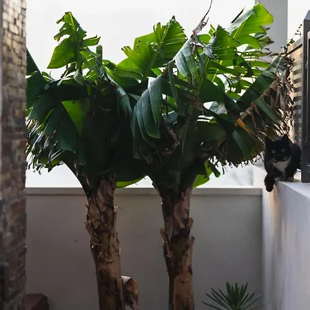 La Cábala Del Draguillo Сasa de vacaciones *