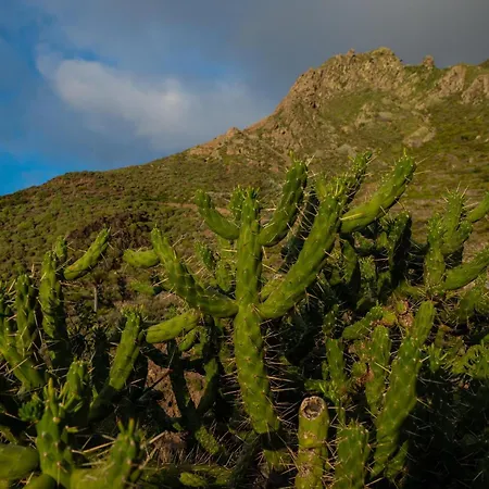 La Cábala Del Draguillo *