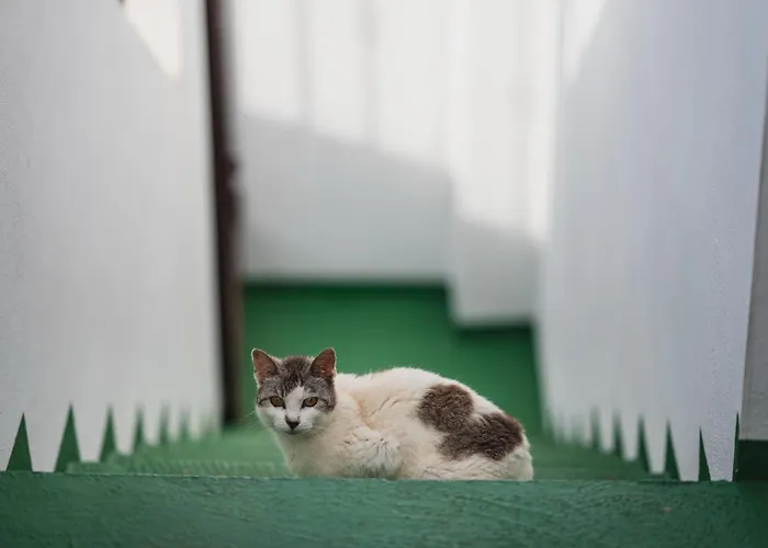 La Cabala Del Draguillo Semesterbostad *