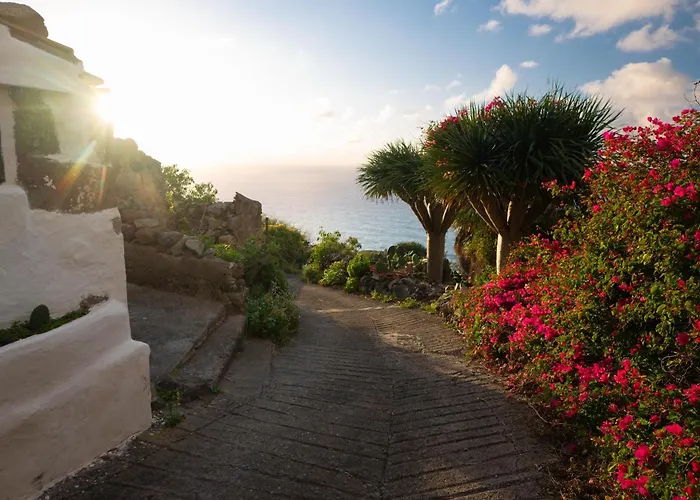 La Cabala Del Draguillo * Santa Cruz de Tenerife