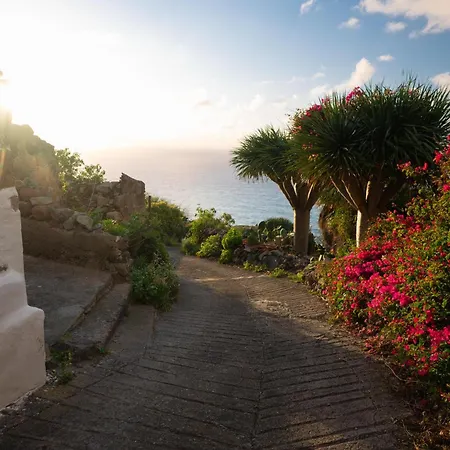 La Cábala Del Draguillo * Santa Cruz de Tenerife