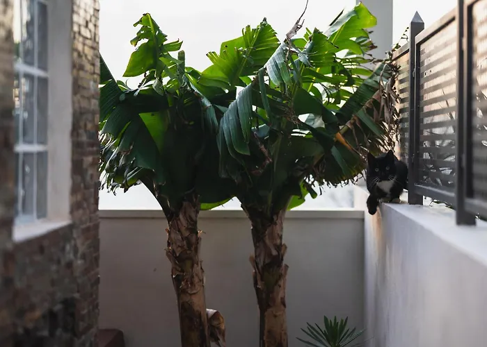 La Cábala Del Draguillo Casa de Férias *